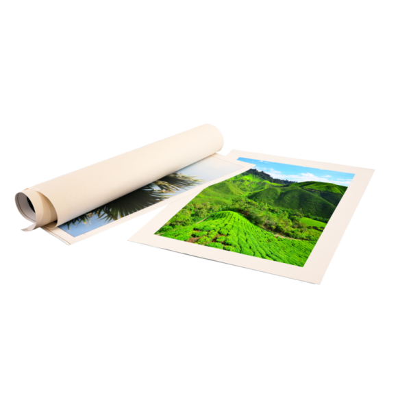 Large Canvas