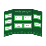 Science Fair Project Boards