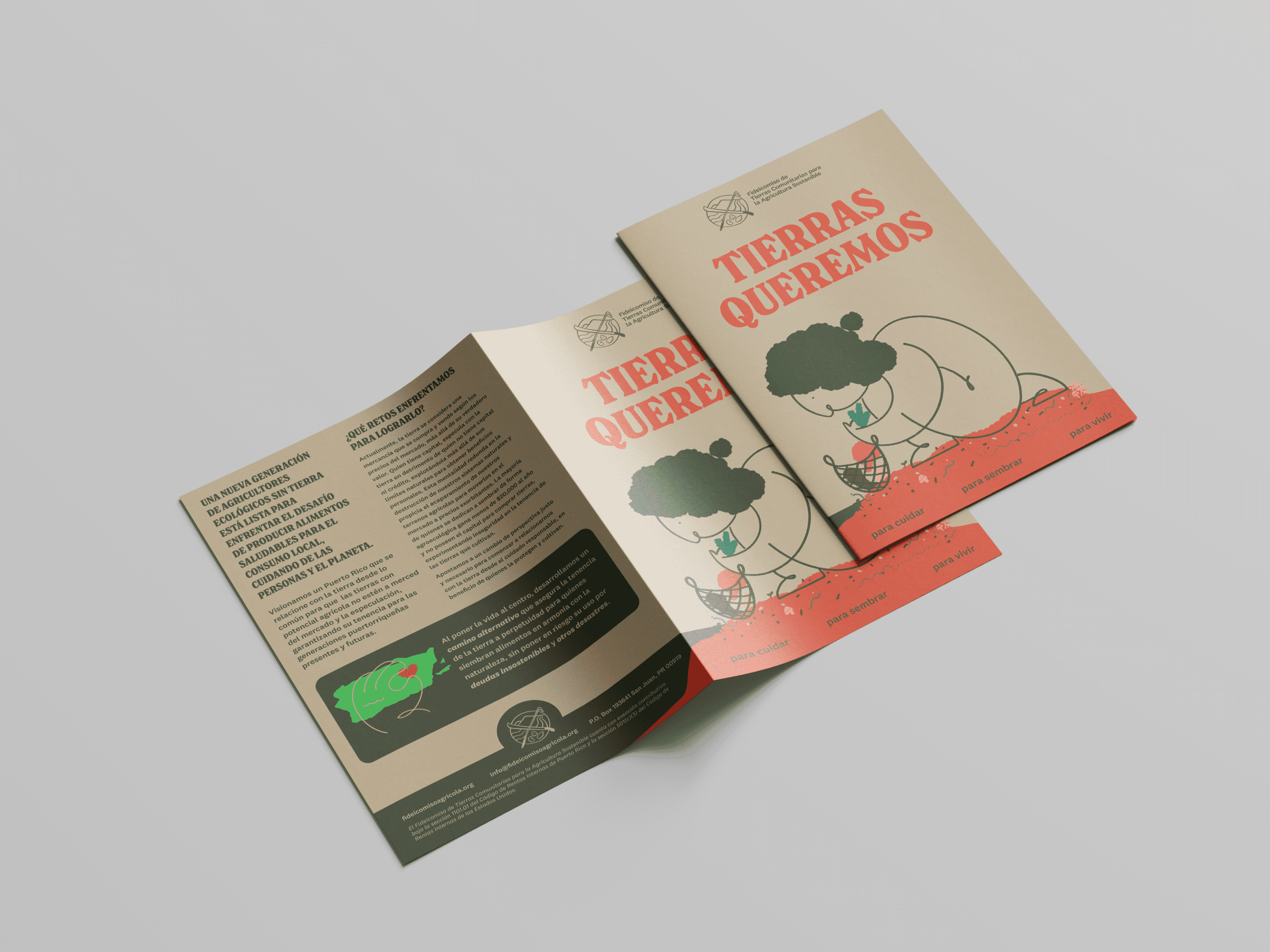 Brochures 8.5”x11” - Image 2