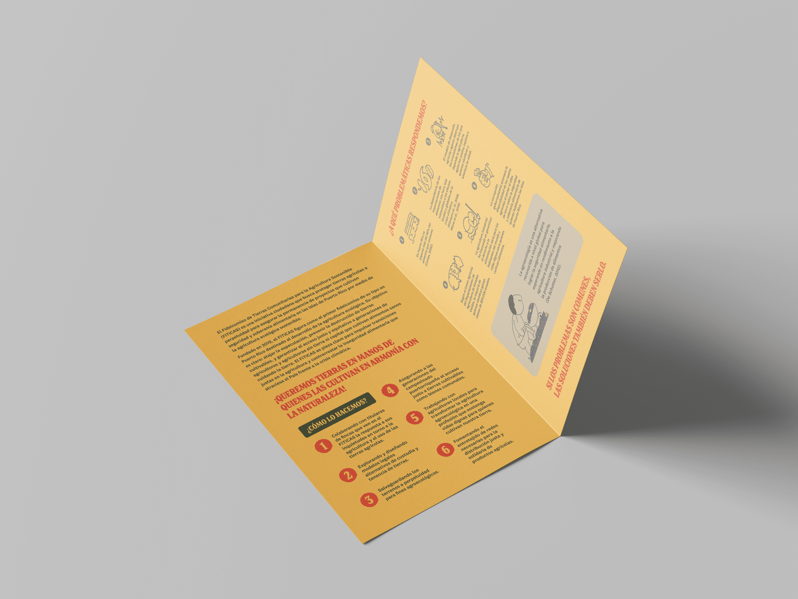 Brochures 8.5”x11” - Image 4